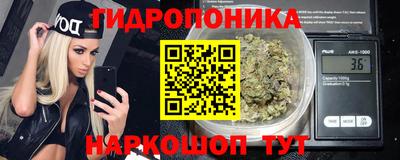 ALPHA PVP Малгобек
