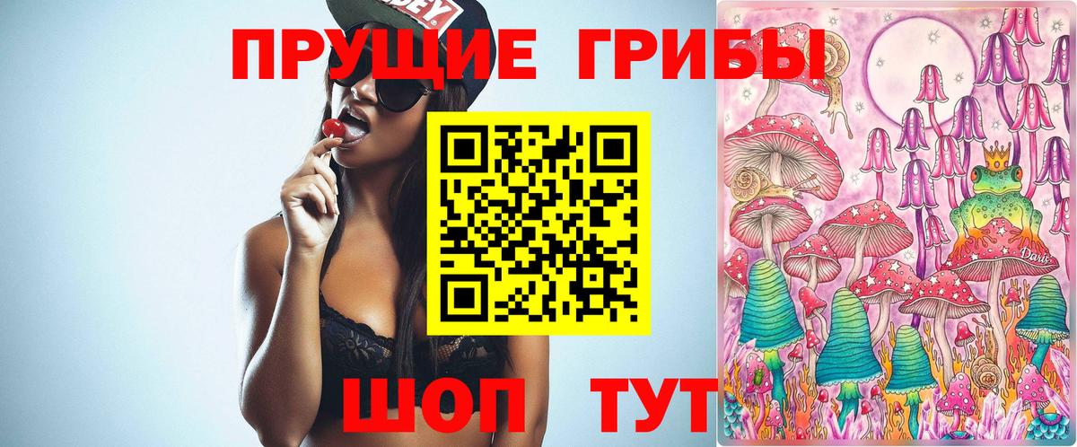 Галлюциногенные грибы Psilocybe  Вход с VPN  Псилоцибиновые грибы мухоморы  Топки 
